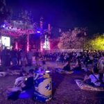 Kalamış'ta Popüler Konser ve Festival Rehberi